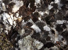 DSCF1667