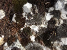 DSCF1668
