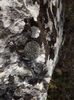 DSCF1671