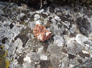 DSCF1722