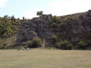 DSCF1788