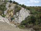 DSCF1772