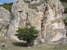 DSCF1791