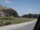 DSCF1808
