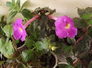 DSCF1869