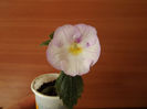 DSCF1872
