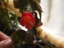 DSCF1893