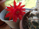 DSCF1544