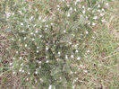 DSCF1628
