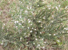 DSCF1629