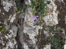 DSCF1662