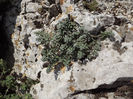 DSCF1707