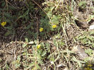 DSCF1711