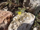 DSCF1718