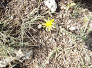 DSCF1726