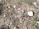 DSCF1764