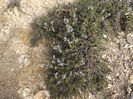 DSCF1769