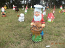 DSC00195