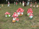 DSC00207