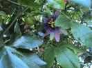 DSC09788