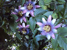 DSC09790