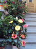 DSC09755