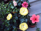 DSC09759