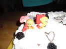 SAM_0693