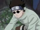 Shino Aburame