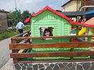 DSCN1153