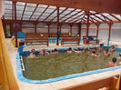 DSCN1154