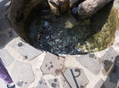 DSCN1186