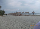 DSCN2239