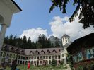 IMG_0209
