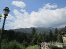 IMG_0225