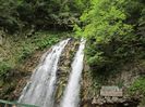 IMG_0242