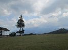 IMG_0377