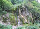 IMG_0421