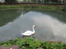 IMG_0431