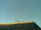 06092013(004)