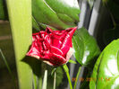 DSCN4146