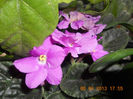 DSCN4148