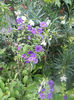 DSCN5030