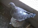DSCF0413