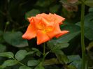 DSCN0992