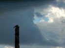 DSCN1069