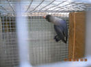 DSCN0021