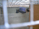 DSCN0022