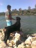 Imag0043