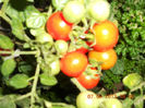 DSCN4169